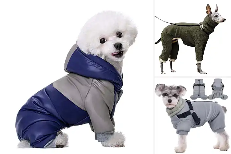 Detailed view of Best 4-Legged Dog Jackets