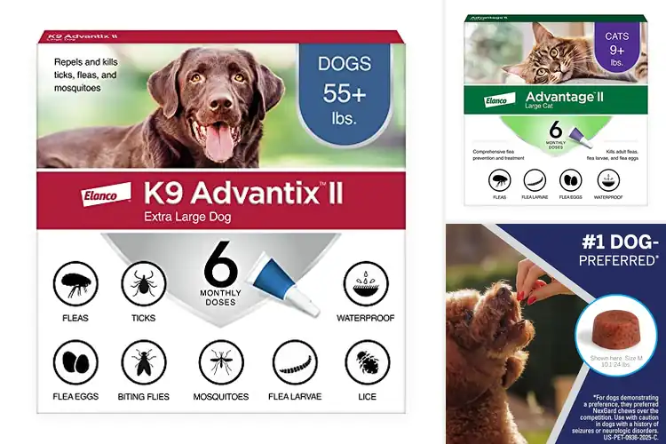 Detailed view of Best 6-Month Flea Protection Supplies