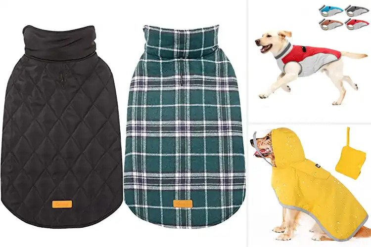 Detailed view of Best Adjustable Dog Coats: 10 Top Picks for Warmth & Style