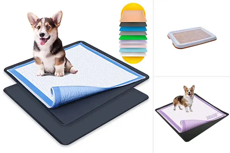 Detailed view of Best Anti-Slip Potty Trays for Easy, Stress‑Free Training