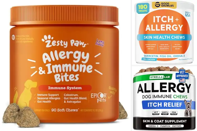 Detailed view of Best Dog Allergy Relief Chews