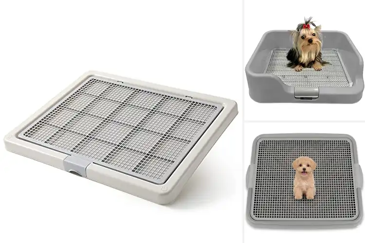 Detailed view of Best Dog Potty Trays