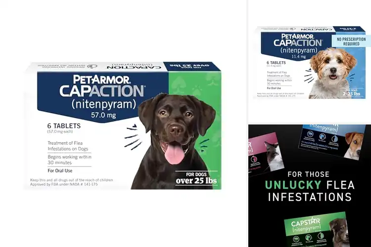 Detailed view of Best Fast-Acting Flea Medications