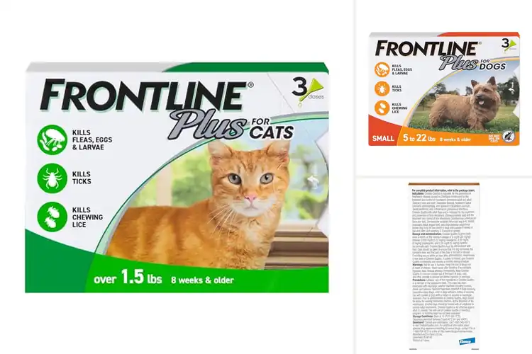 Detailed view of Best FDA-Approved Flea Treatments