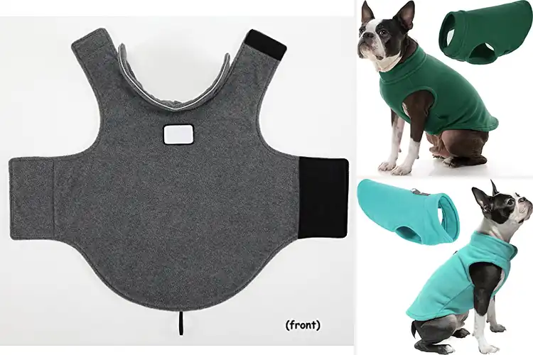 Detailed view of Best Fitting Dog Jackets: Top 10 Stylish & Warm Options