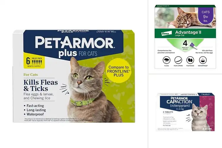 Detailed view of Best Flea Treatments For Dogs And Cats