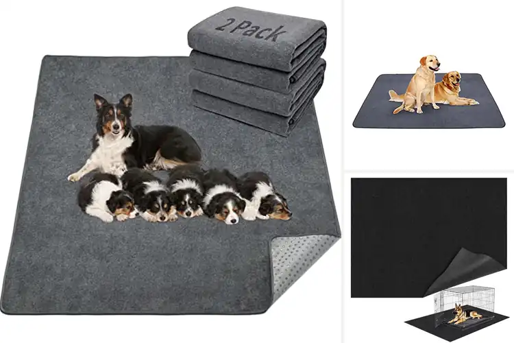 Detailed view of Best Floor Protectors For Dogs