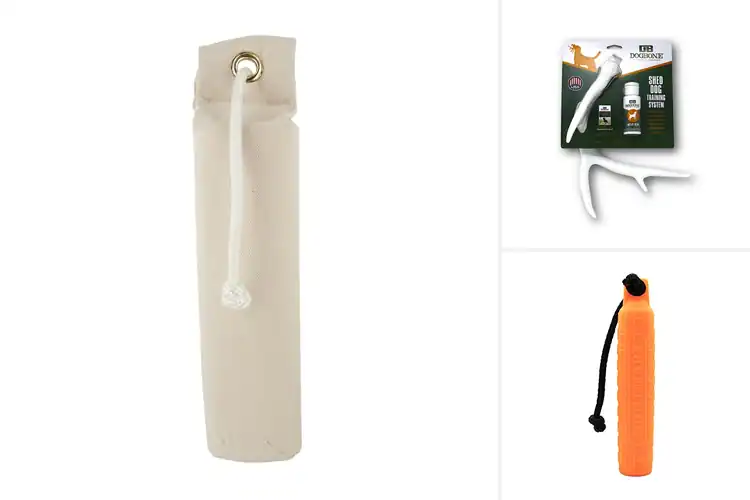 Detailed view of Best Hunting Dog Training Tools