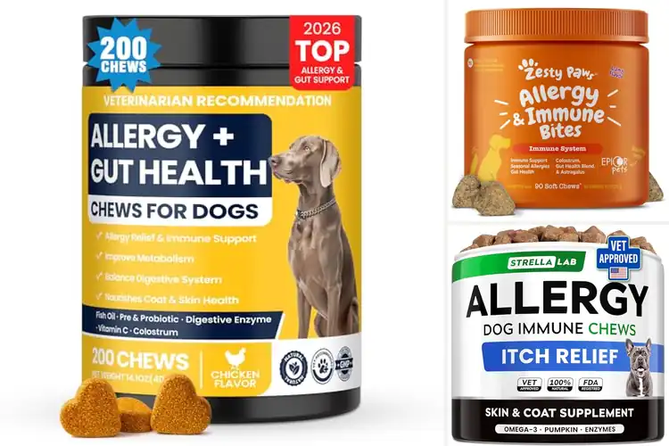 Detailed view of Best Itchy Skin Relief Chews