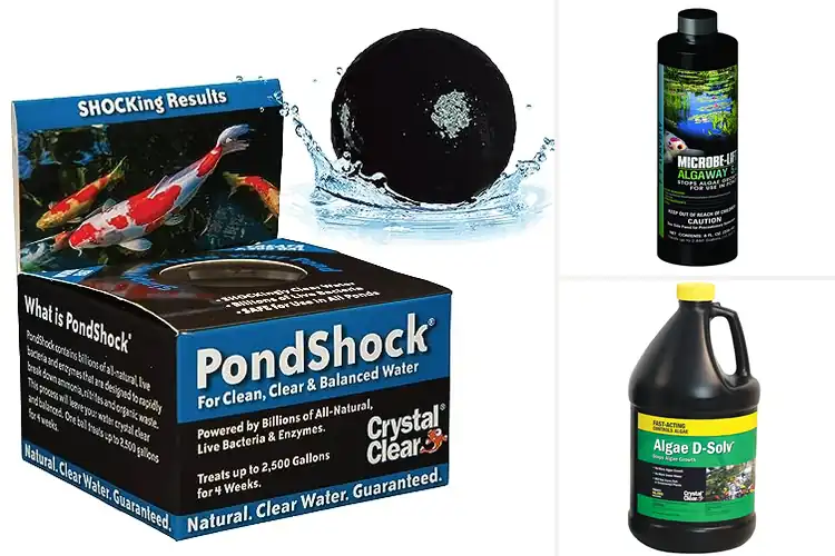 Detailed view of Best Koi Pond Care Products