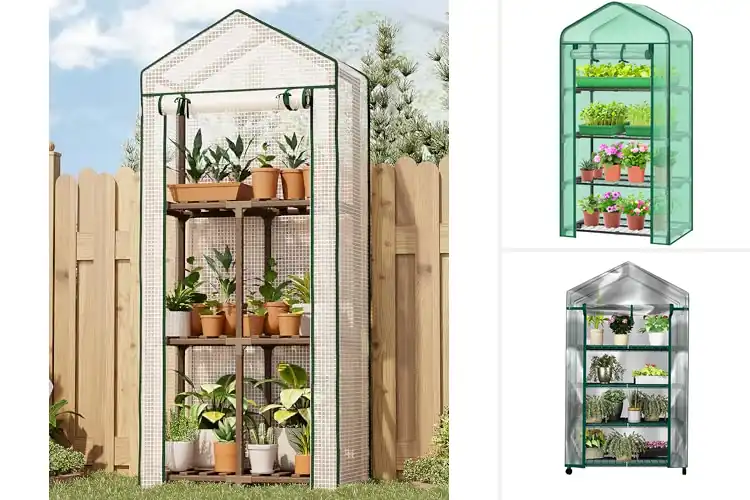 Detailed view of Best Mini Greenhouses