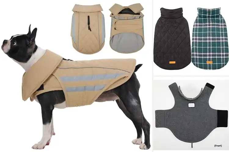 Detailed view of Best Outdoor Dog Jackets