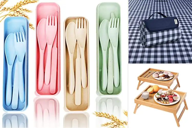 Detailed view of Best Picnic Essentials