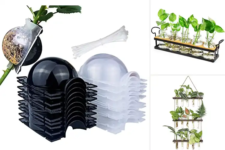 Detailed view of Best Plant Propagation Kits for Easy Garden Growth
