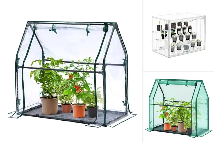 Detailed view of Best Portable Tabletop Greenhouses