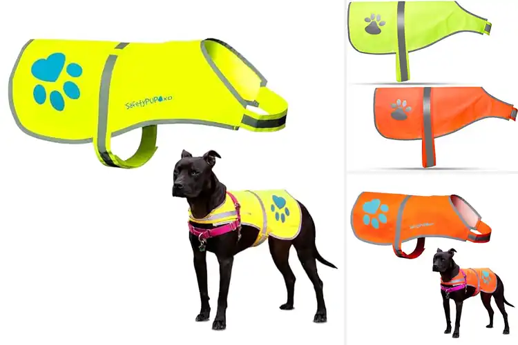 Detailed view of Best Reflective Dog Vests