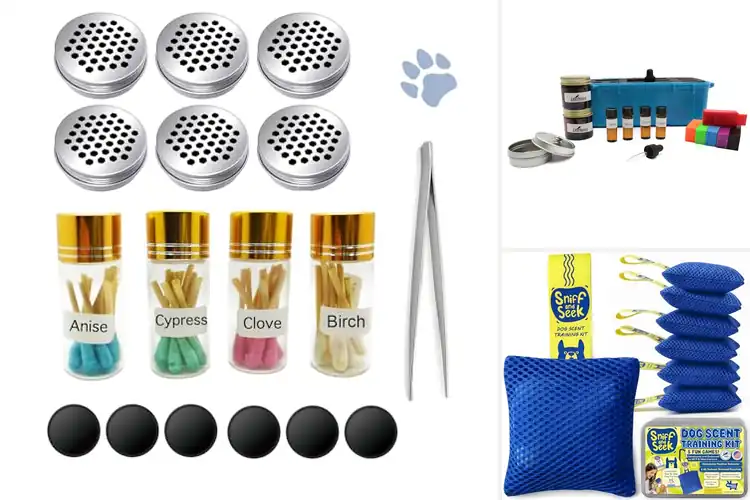Detailed view of Best Scent Work Kits for Skill-Building Success