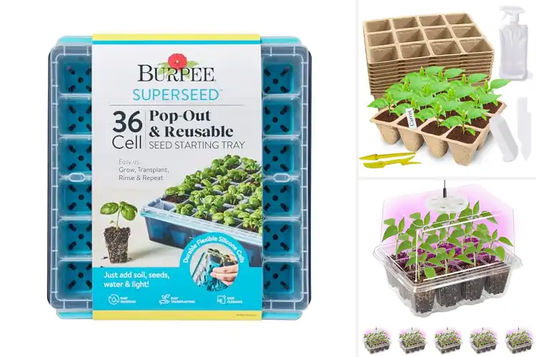 Detailed view of Best Seed Starters