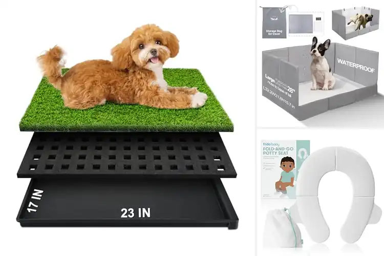 Detailed view of Best Travel Potty Trays for Easy, Stress‑Free Trips