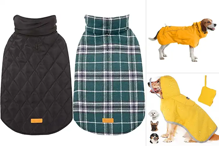 Detailed view of Best Waterproof Dog Coats: Top 10 Picks for Dry, Cozy Pups