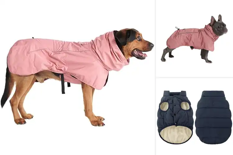 Detailed view of Best Windproof Dog Jackets