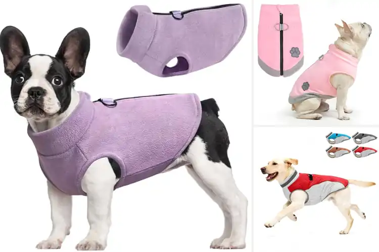 Detailed view of Best Zippered Dog Coats